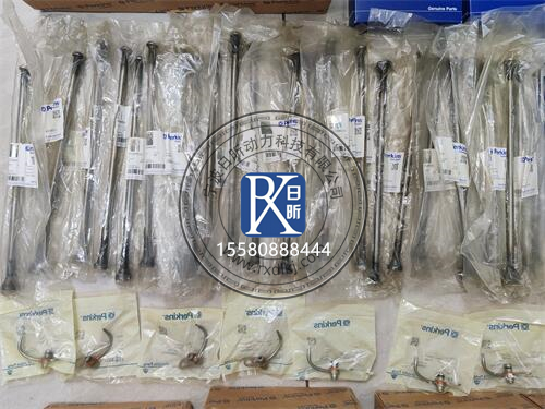 珀金斯發(fā)動(dòng)機(jī)推桿：故障背后的秘密與解決方案